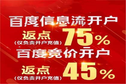 百度广告推广案例解析